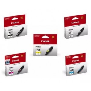 Canon CLI 751 B/C/M/Y/GY (5 colour)